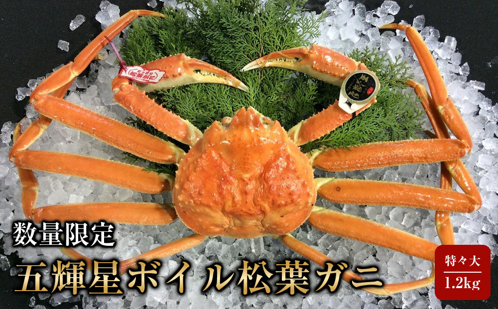 【魚倉】五輝星ボイル松葉ガニ(特々大1.2kg)数量限定品｜国産&nbsp;タグ付き&nbsp;ズワイガニ&nbsp;松葉ガニ&nbsp;カニ&nbsp;蟹&nbsp;かに&nbsp;ボイル&nbsp;カニ鍋&nbsp;かに鍋&nbsp;鍋&nbsp;かにしゃぶ&nbsp;かにみそ&nbsp;期間限定&nbsp;送料無料&nbsp;鳥取県&nbsp;三朝町