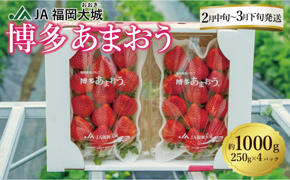 ★先行予約★いちごの王様&nbsp;福岡県産博多あまおう250g×4パック【2027年2月中旬～3月順次出荷予定】
