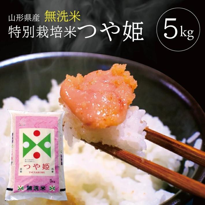 令和6年産【無洗米】特別栽培米 つや姫　5kg×1袋 TO＜東北食糧＞