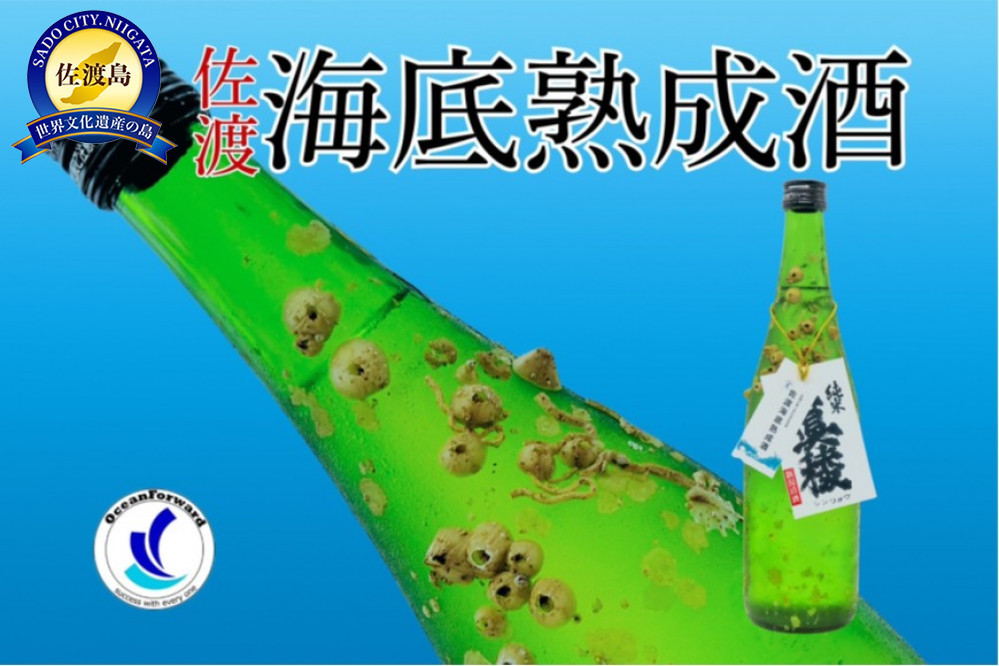 酒&nbsp;日本酒&nbsp;純米吟醸酒　佐渡&nbsp;海底熟成酒&nbsp;「真稜」720ml×1本