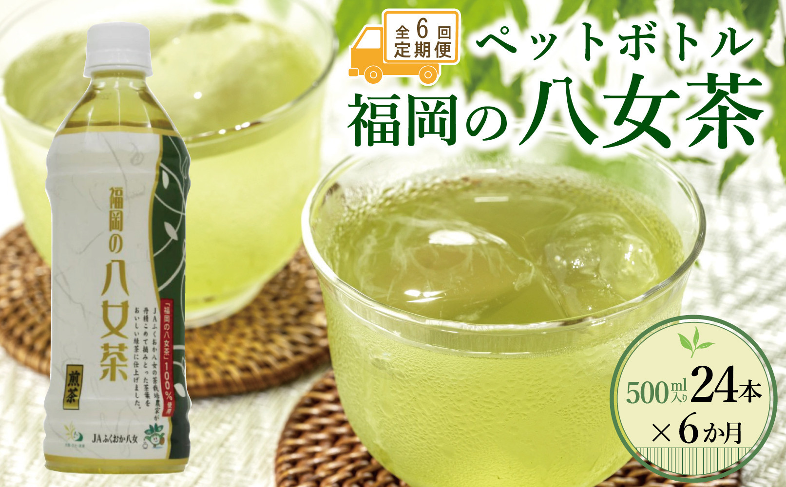 【全6回毎月定期便】八女茶 煎茶ペットボトル 500ml×24本