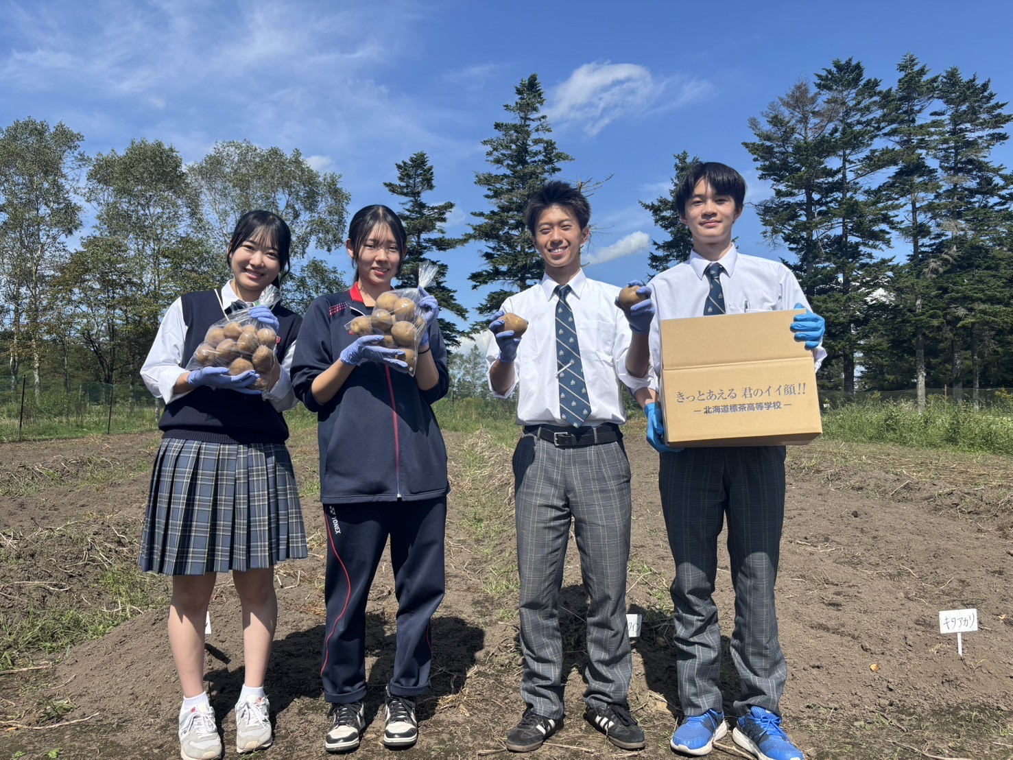 ＜標茶高校生から愛を込めて万能野菜のじゃがいもをお届けします＞ジャガイモ3種類　計5kg（とうや、きたあかり、メークイーン）【&nbsp;野菜&nbsp;じゃがいも&nbsp;とうや&nbsp;きたあかり&nbsp;メークイン&nbsp;標茶高校創生ゼミ&nbsp;標茶町&nbsp;北海道&nbsp;】