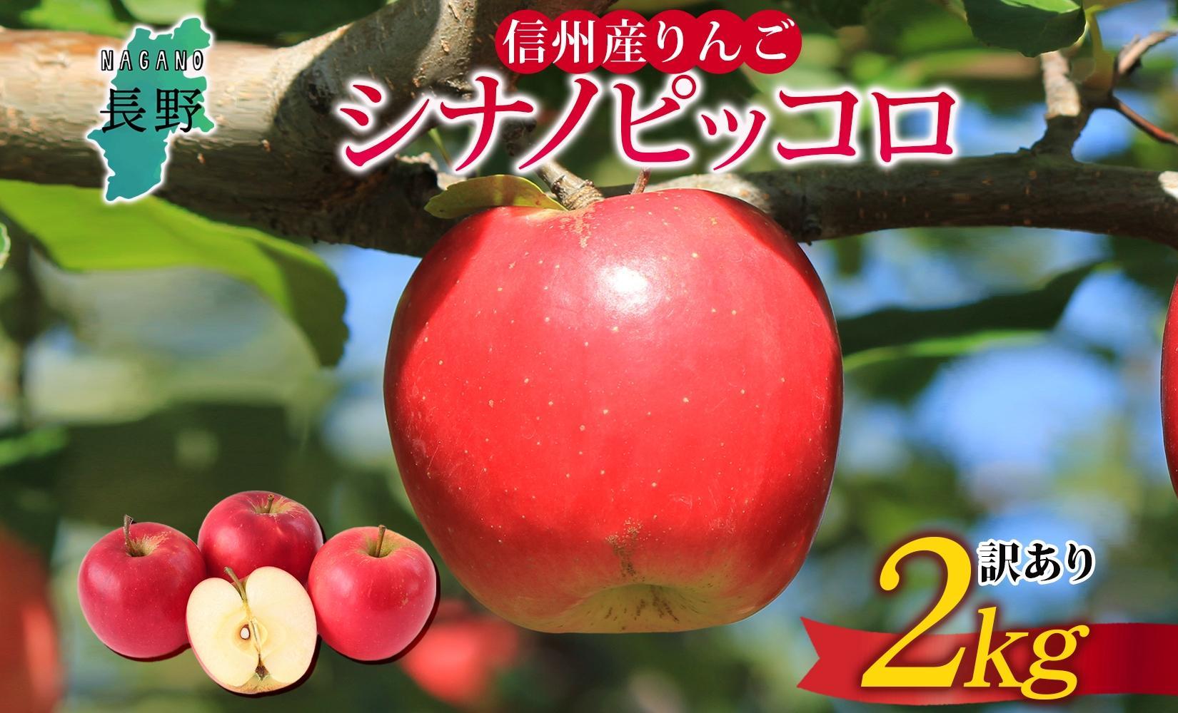 ＜25年発送 先行予約＞長野県産 りんご シナノピッコロ 訳あり 約2kg リンゴ 旬 フルーツ 訳アリ 林檎 果物 規格外 自家用 産地直送 農園 産直 お取り寄せ もぎたて 採れたて 送料無料 堀田農園 信州 大町市