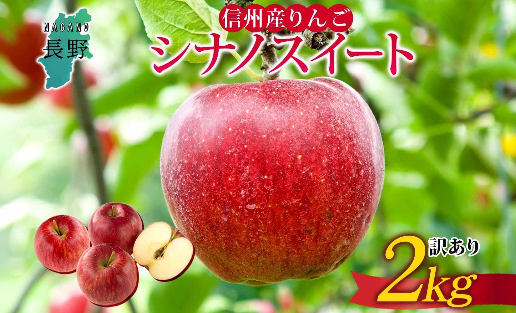 ＜25年発送 先行予約＞長野県産 りんご シナノスイート 訳あり 約2kg リンゴ 旬 フルーツ 訳アリ 林檎 果物 規格外 自家用 産地直送 農園 産直 お取り寄せ もぎたて 採れたて 送料無料 堀田農園 信州 大町市