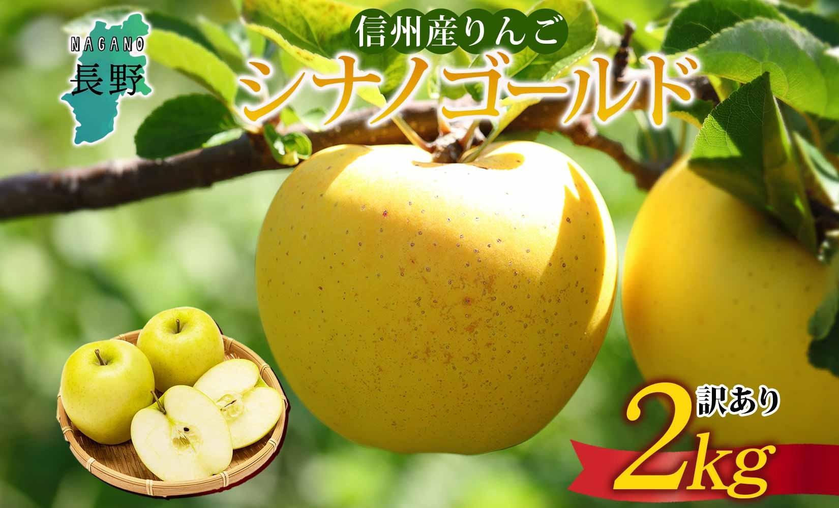 ＜25年発送 先行予約＞長野県産 りんご シナノゴールド 訳あり 約2kg リンゴ 旬 フルーツ 訳アリ 林檎 果物 規格外 自家用 産地直送 農園 産直 お取り寄せ もぎたて 採れたて 送料無料 堀田農園 信州 大町市