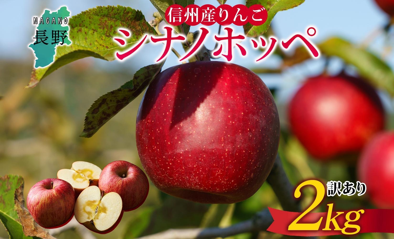 ＜25年発送 先行予約＞長野県産 りんご シナノホッペ 訳あり 約2kg リンゴ 旬 フルーツ 訳アリ 林檎 果物 規格外 自家用 産地直送 農園 産直 お取り寄せ もぎたて 採れたて 送料無料 堀田農園 信州 大町市