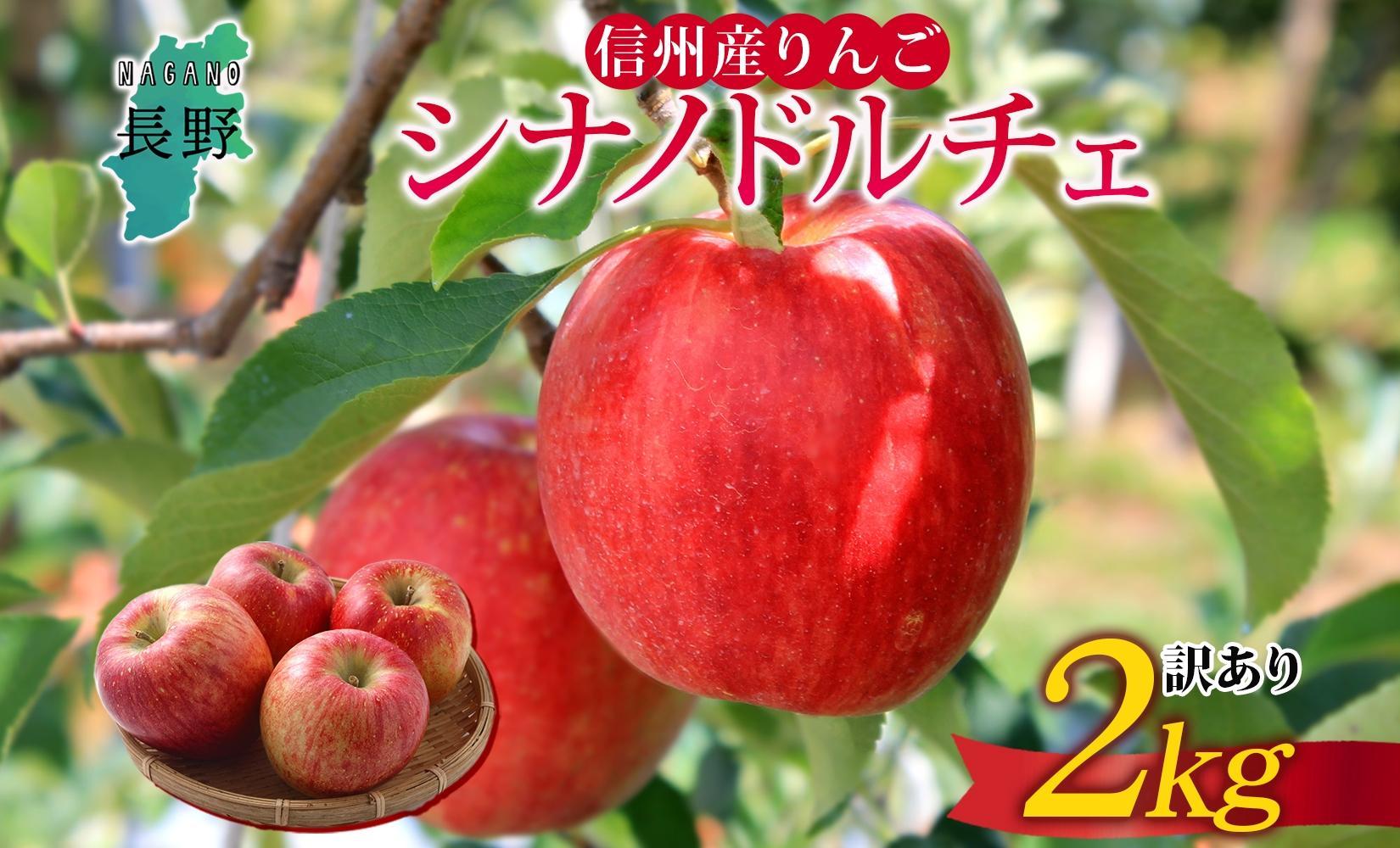 ＜25年発送 先行予約＞長野県産 りんご シナノドルチェ 訳あり 約2kg リンゴ 旬 フルーツ 訳アリ 林檎 果物 規格外 自家用 産地直送 農園 産直 お取り寄せ もぎたて 採れたて 送料無料 堀田農園 信州 大町市