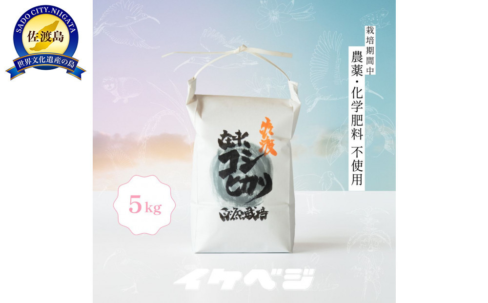 新潟県佐渡産&nbsp;令和7年産&nbsp;【在来コシヒカリ】&nbsp;玄米&nbsp;5kg