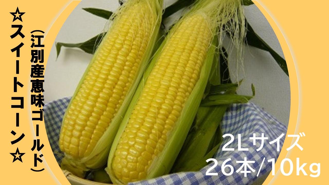 先行予約 スイートコーン（恵味ゴールド）２Lサイズ26本入り 10kg 2025年夏発送！