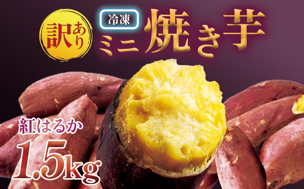 【訳あり】紅蜜芋　紅はるかの焼き芋（1.5kg）ミニ焼き芋
