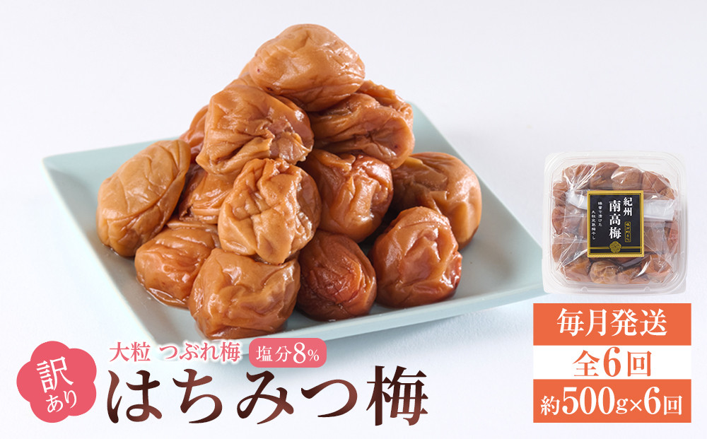 訳あり&nbsp;梅干し&nbsp;大粒&nbsp;大玉&nbsp;つぶれ梅&nbsp;はちみつ梅&nbsp;約500g&nbsp;×&nbsp;6回&nbsp;塩分8％&nbsp;[&nbsp;定期便&nbsp;毎月発送・全6回&nbsp;]