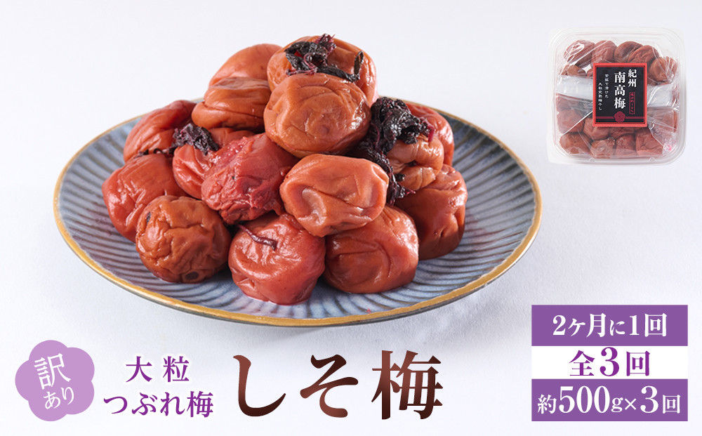 訳あり&nbsp;梅干し&nbsp;大粒&nbsp;大玉&nbsp;つぶれ梅&nbsp;しそ梅&nbsp;約500g&nbsp;×&nbsp;3回&nbsp;塩分10％&nbsp;[&nbsp;定期便&nbsp;2か月に１回発送・全3回&nbsp;]