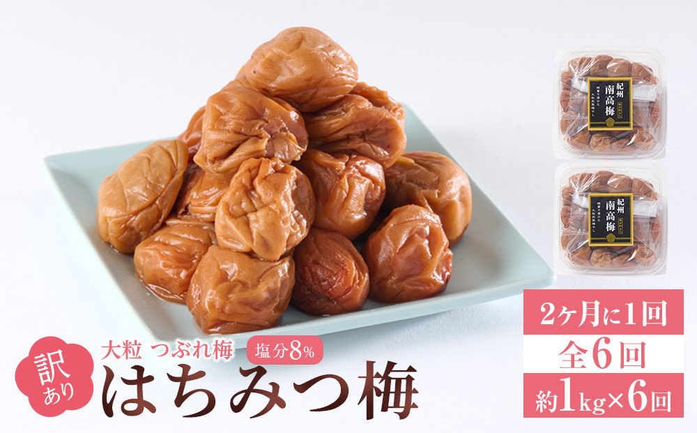 訳あり&nbsp;梅干し&nbsp;大粒&nbsp;大玉&nbsp;つぶれ梅&nbsp;はちみつ梅&nbsp;約1kg(500g×2)&nbsp;×&nbsp;6回&nbsp;&nbsp;塩分8％&nbsp;[&nbsp;定期便&nbsp;2か月に１回発送・全6回&nbsp;]