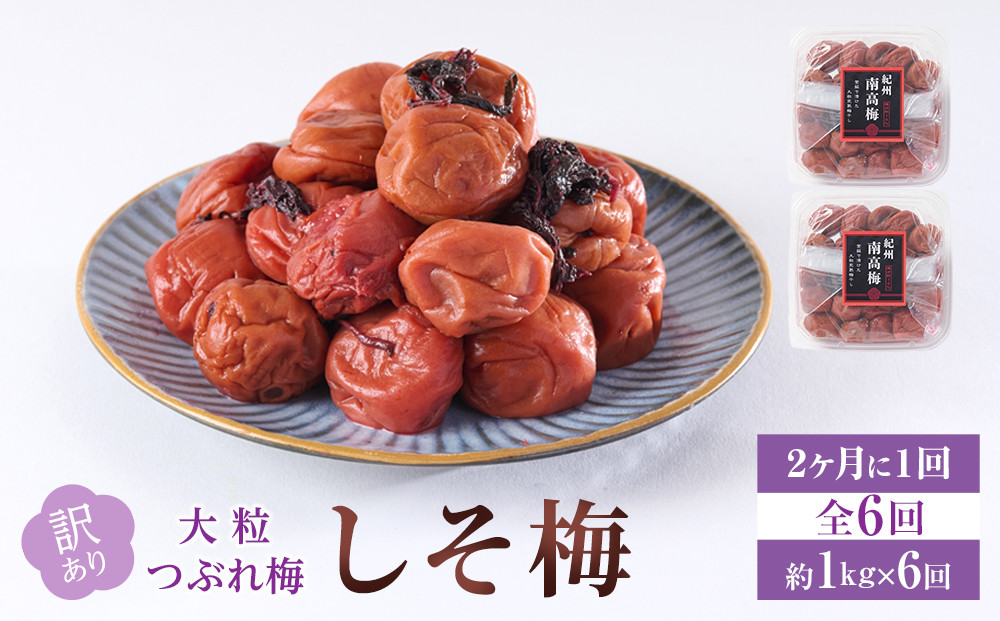 訳あり&nbsp;梅干し&nbsp;大粒&nbsp;大玉&nbsp;つぶれ梅&nbsp;しそ梅&nbsp;約1kg&nbsp;(500g×2)&nbsp;&nbsp;×&nbsp;6回&nbsp;塩分10%&nbsp;[&nbsp;定期便&nbsp;2か月に１回発送・全6回&nbsp;]