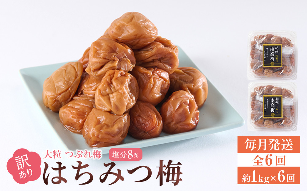 訳あり&nbsp;梅干し&nbsp;大粒&nbsp;大玉&nbsp;つぶれ梅&nbsp;はちみつ梅&nbsp;約1kg(500g×2)&nbsp;×&nbsp;6回&nbsp;&nbsp;塩分8％&nbsp;[&nbsp;定期便&nbsp;毎月発送・全6回&nbsp;]