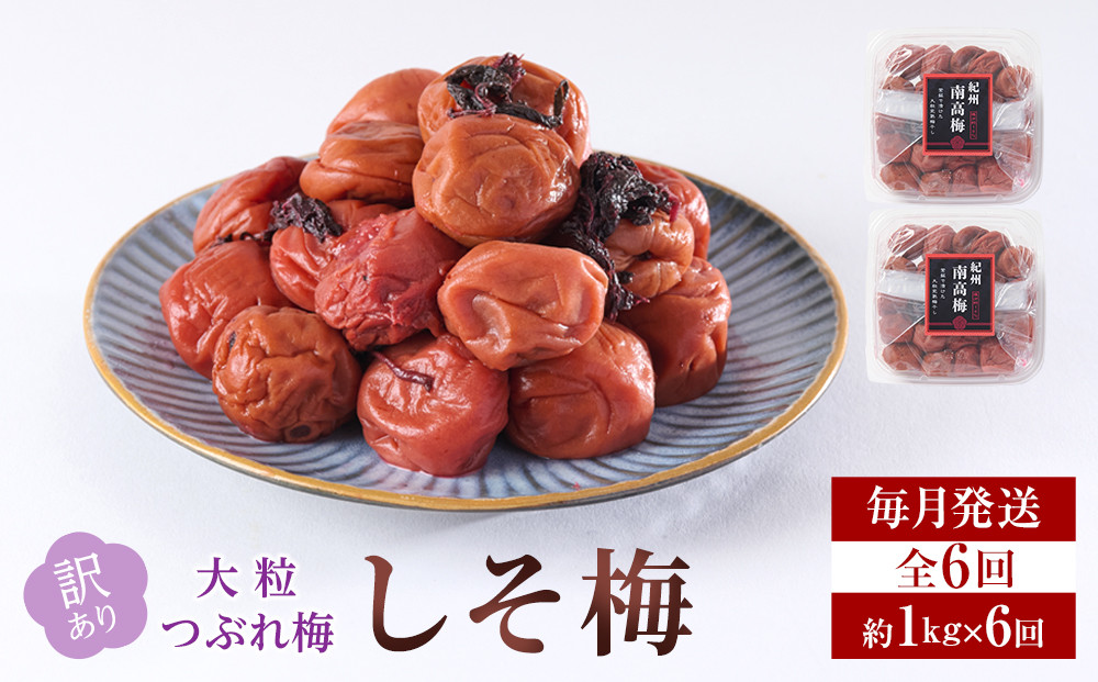 訳あり&nbsp;梅干し&nbsp;大粒&nbsp;大玉&nbsp;つぶれ梅&nbsp;しそ梅&nbsp;約1kg&nbsp;(500g×2)&nbsp;&nbsp;×&nbsp;6回&nbsp;塩分10%&nbsp;[&nbsp;定期便&nbsp;毎月発送・全6回&nbsp;]