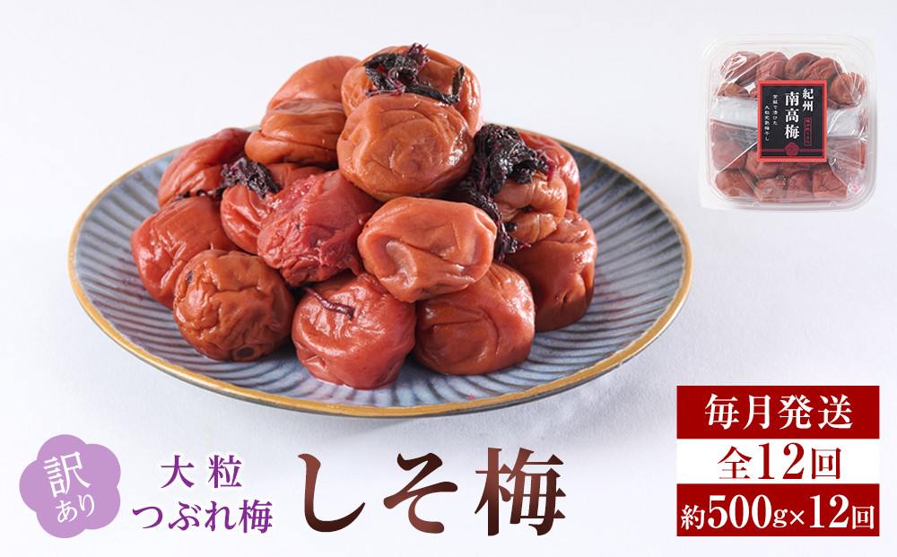 訳あり&nbsp;梅干し&nbsp;大粒&nbsp;大玉&nbsp;つぶれ梅&nbsp;しそ梅&nbsp;約500g&nbsp;×&nbsp;12回&nbsp;塩分10％&nbsp;[&nbsp;定期便&nbsp;毎月発送・全12回&nbsp;]