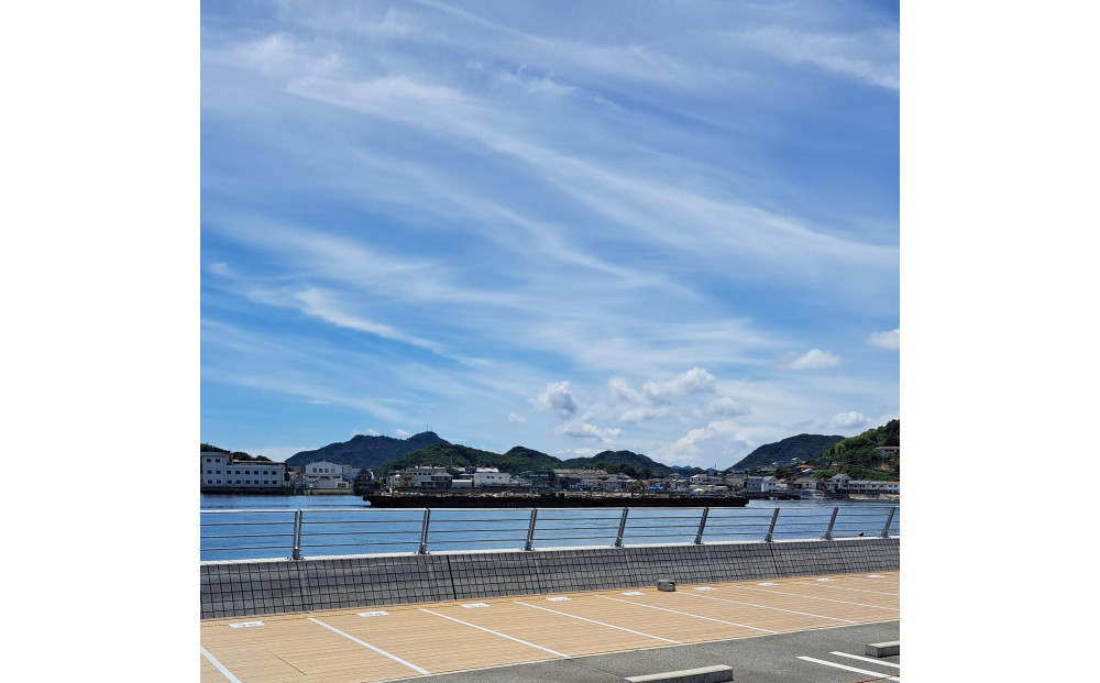 おのみち住吉花火まつり　花火応援席２Ｆ特別マス席（最大４名様分）