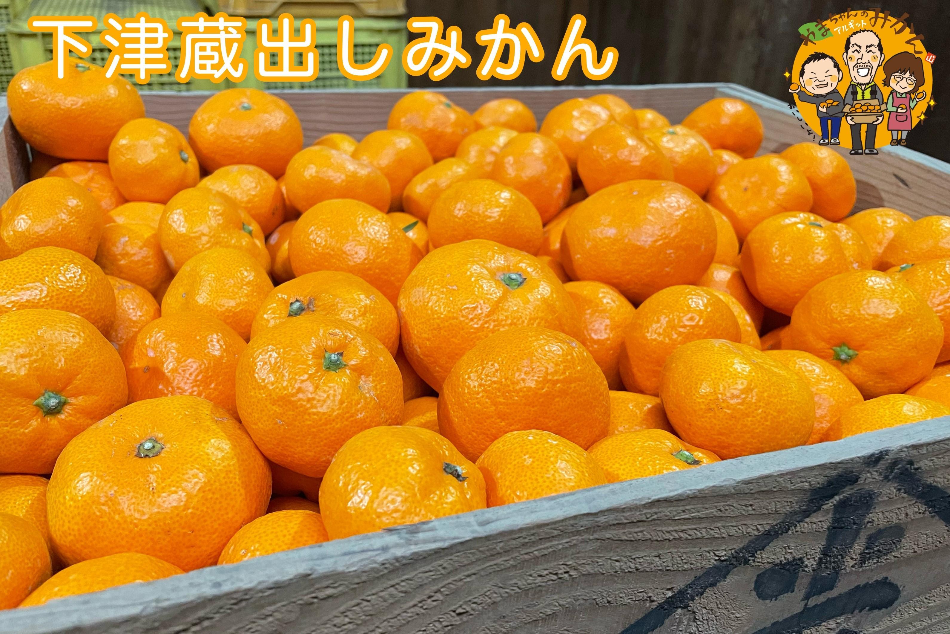 下津蔵出しみかん&nbsp;約3kg&nbsp;S～Lサイズいずれか&nbsp;山下農園
