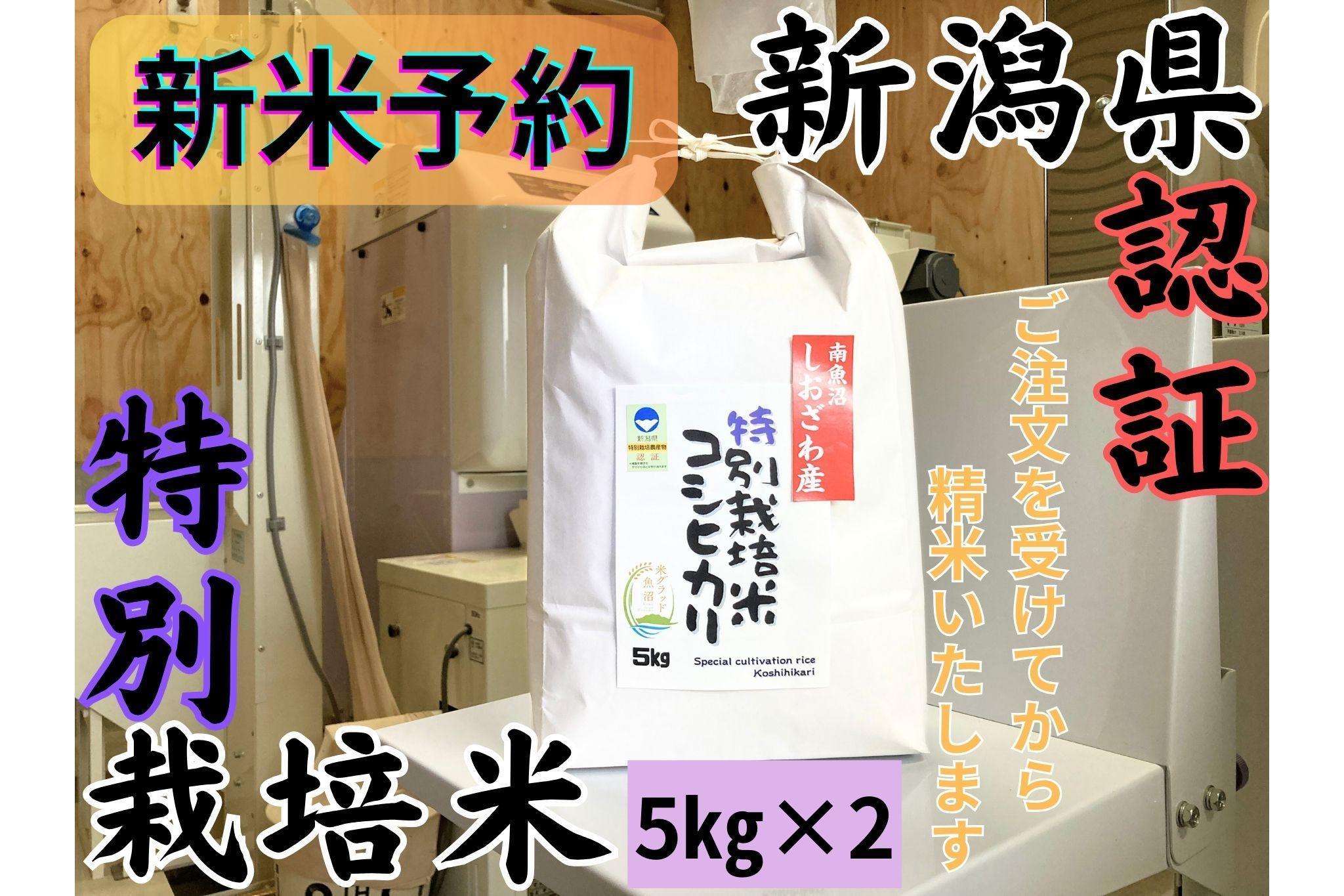 【令和8年産・新米予約】安心安全の新潟県南魚沼産特別栽培米コシヒカリ　10kg　新潟県認証【2026年10月上旬より1ヶ月以内に順次発送予定】