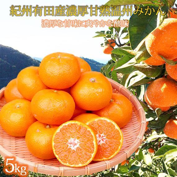 ［ご家庭用訳アリ］紀州有田産濃厚完熟温州みかん 約5kg ［2025年11月下旬以降発送 先行予約 ］［UT13］