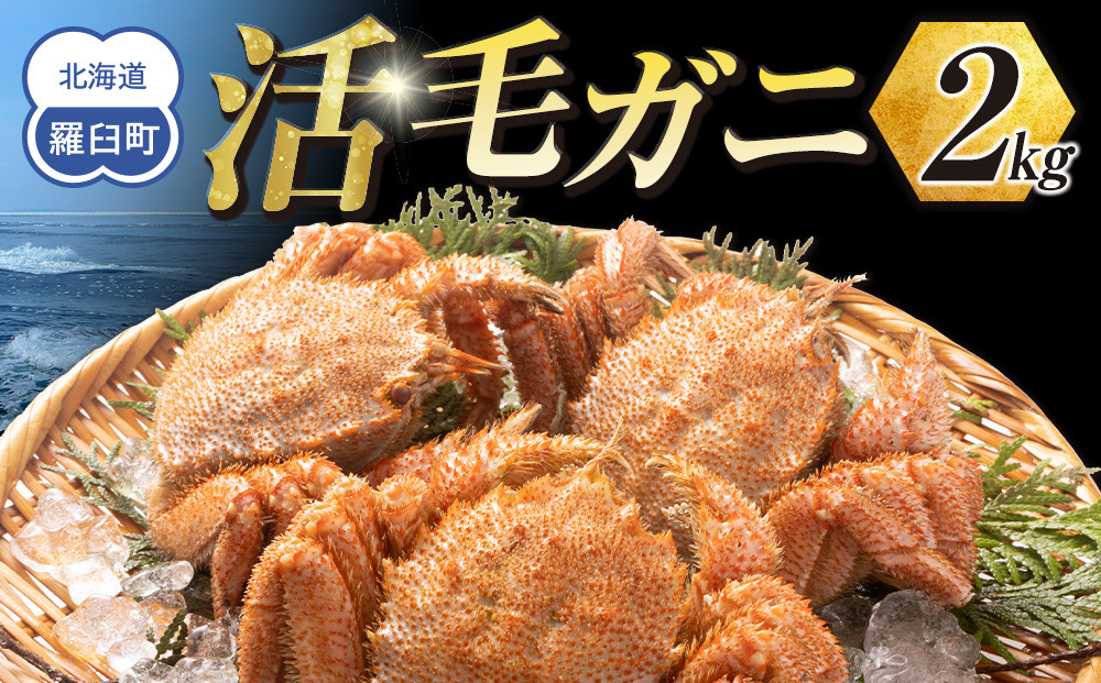 &nbsp;【先行予約/2026年4月発送開始】活毛ガニ　２kg　300g～500g　４～６尾