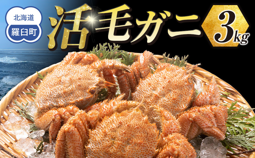 &nbsp;【先行予約/2026年4月発送開始】活毛ガニ　３kg　300g～500g　６～９尾