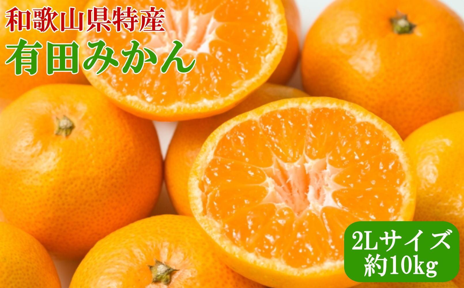 ［秀品］ 和歌山 有田みかん 約10kg 2Lサイズ 2025年11月中旬頃より順次発送