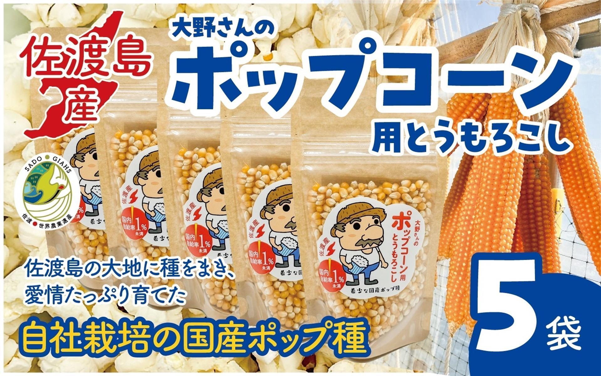 佐渡島産 大野さんのポップコーン用とうもろこし（180g×5袋入）