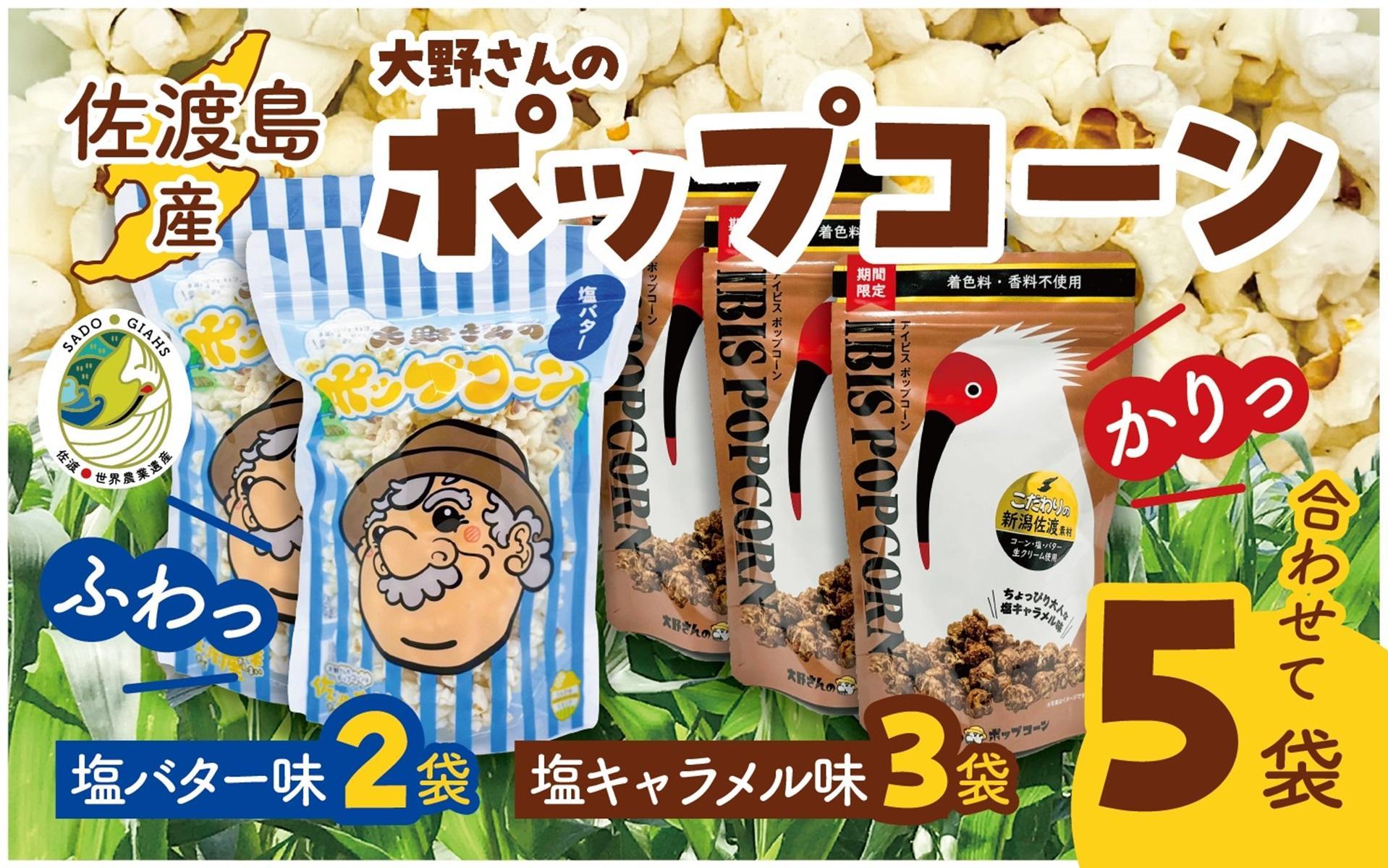佐渡島産 大野さんのポップコーン（塩バター味2袋＆塩キャラメル味3袋入）