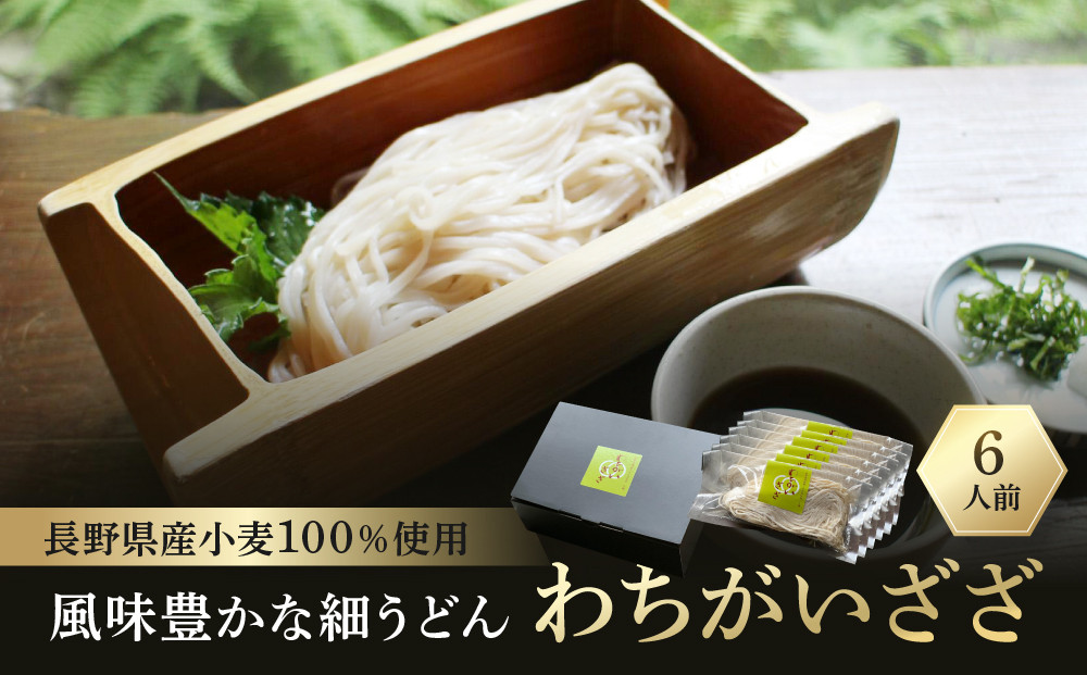 【長野県産小麦100％使用】風味豊かな細うどん　わちがいざざ　6人前入｜&nbsp;うどん&nbsp;細麺&nbsp;麺類&nbsp;国産&nbsp;&nbsp;名店&nbsp;人気&nbsp;おすすめ&nbsp;和食&nbsp;麺料理&nbsp;郷土料理&nbsp;長野県&nbsp;大町市&nbsp;信州&nbsp;送料無料&nbsp;ふるさと納税
