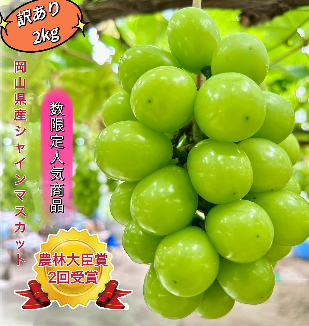 ぶどう&nbsp;2026年&nbsp;&nbsp;シャインマスカット&nbsp;家庭用&nbsp;約2kg&nbsp;|&nbsp;岡山&nbsp;国産&nbsp;果物&nbsp;訳あり&nbsp;フルーツ&nbsp;シャイン&nbsp;マスカット2026年7月中旬から発送