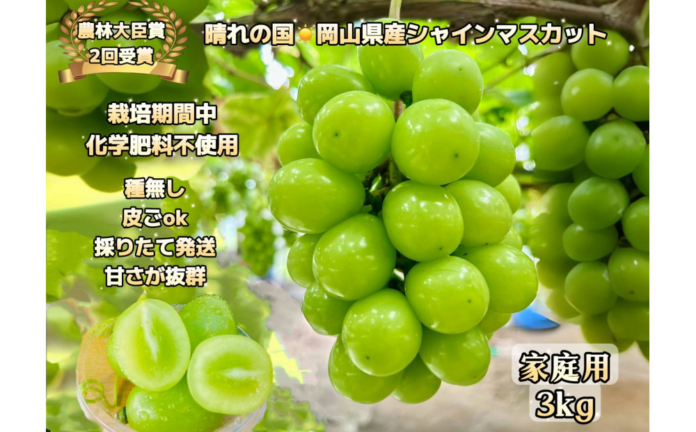 ぶどう&nbsp;2026年&nbsp;&nbsp;シャインマスカット&nbsp;家庭用&nbsp;約3kg&nbsp;&nbsp;家庭用&nbsp;ギフト&nbsp;農林大臣賞2回受賞&nbsp;贈り物&nbsp;岡山&nbsp;果物&nbsp;フルーツ&nbsp;&nbsp;採りたて発送&nbsp;農家直送&nbsp;数量限定&nbsp;新鮮&nbsp;&nbsp;訳あり7月中旬から発送
