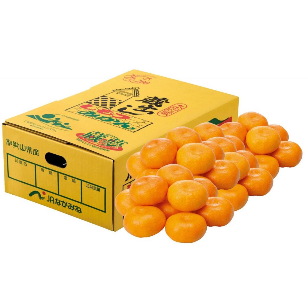 【秀品】蔵出しみかん&nbsp;Mサイズ&nbsp;約3kg&nbsp;和歌山県&nbsp;海南市下津町