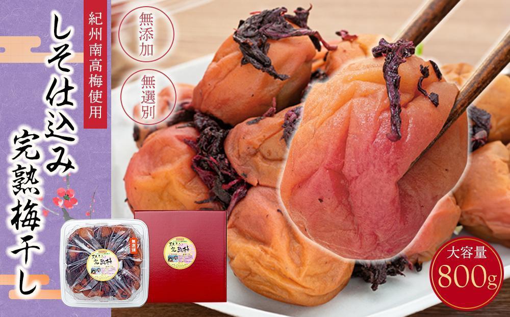 紀州南高梅使用&nbsp;しそ仕込み完熟梅干し&nbsp;無選別&nbsp;約800g&nbsp;塩分&nbsp;約10％&nbsp;[TM196]