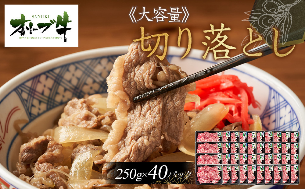 ※2個口※《おすそわけにも・小分け・大容量》オリーブ牛切り落とし10kg