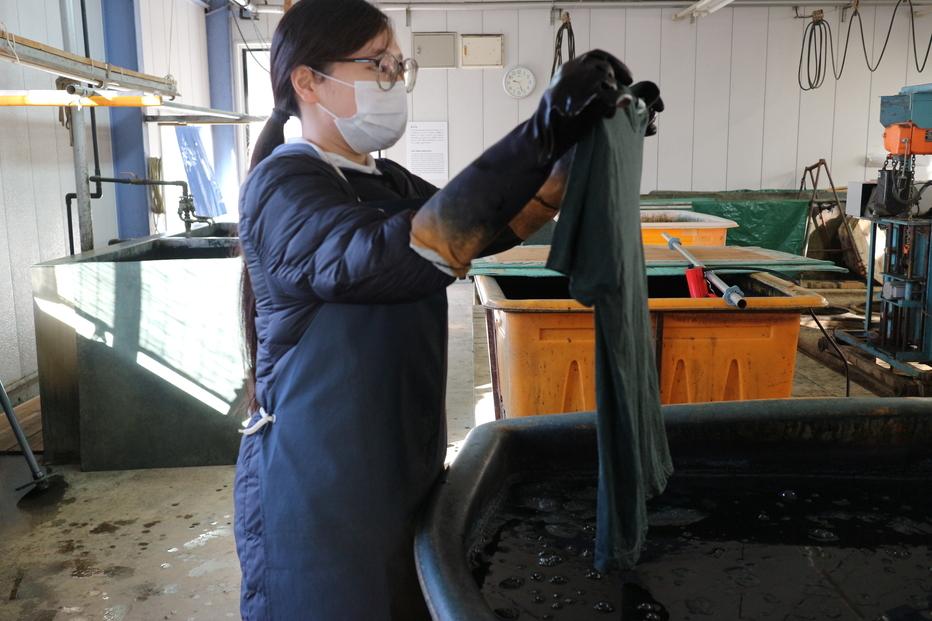 【体験】藍染体験&nbsp;&nbsp;半袖Tシャツ（サイズS/M/L）