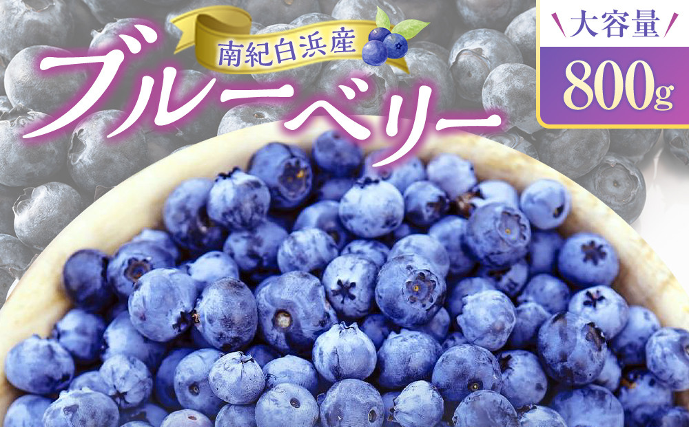 南紀白浜産ブルーベリー&nbsp;800g&nbsp;大容量