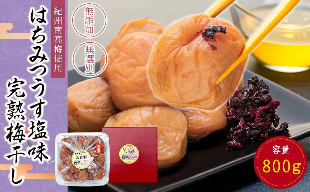 紀州南高梅使用 はちみつ うす塩味 完熟梅干し 無選別 約800g [TM198]