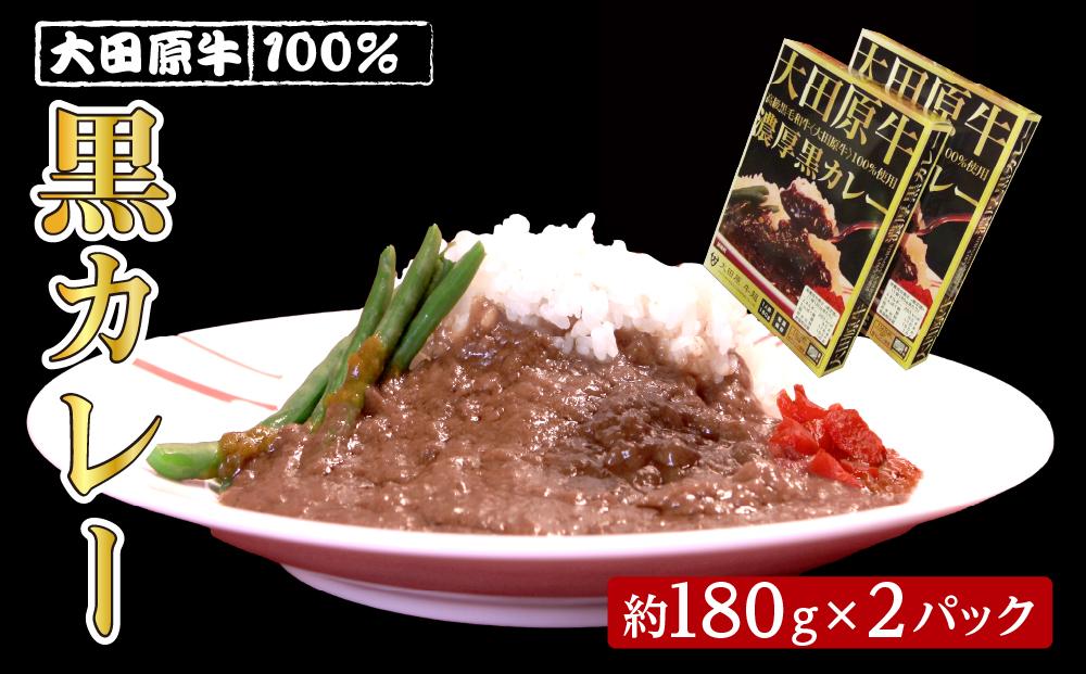 大田原牛 100％ 黒カレー 2パックセット | レトルト カレー 和牛  牛肉 ビーフカレー 高級