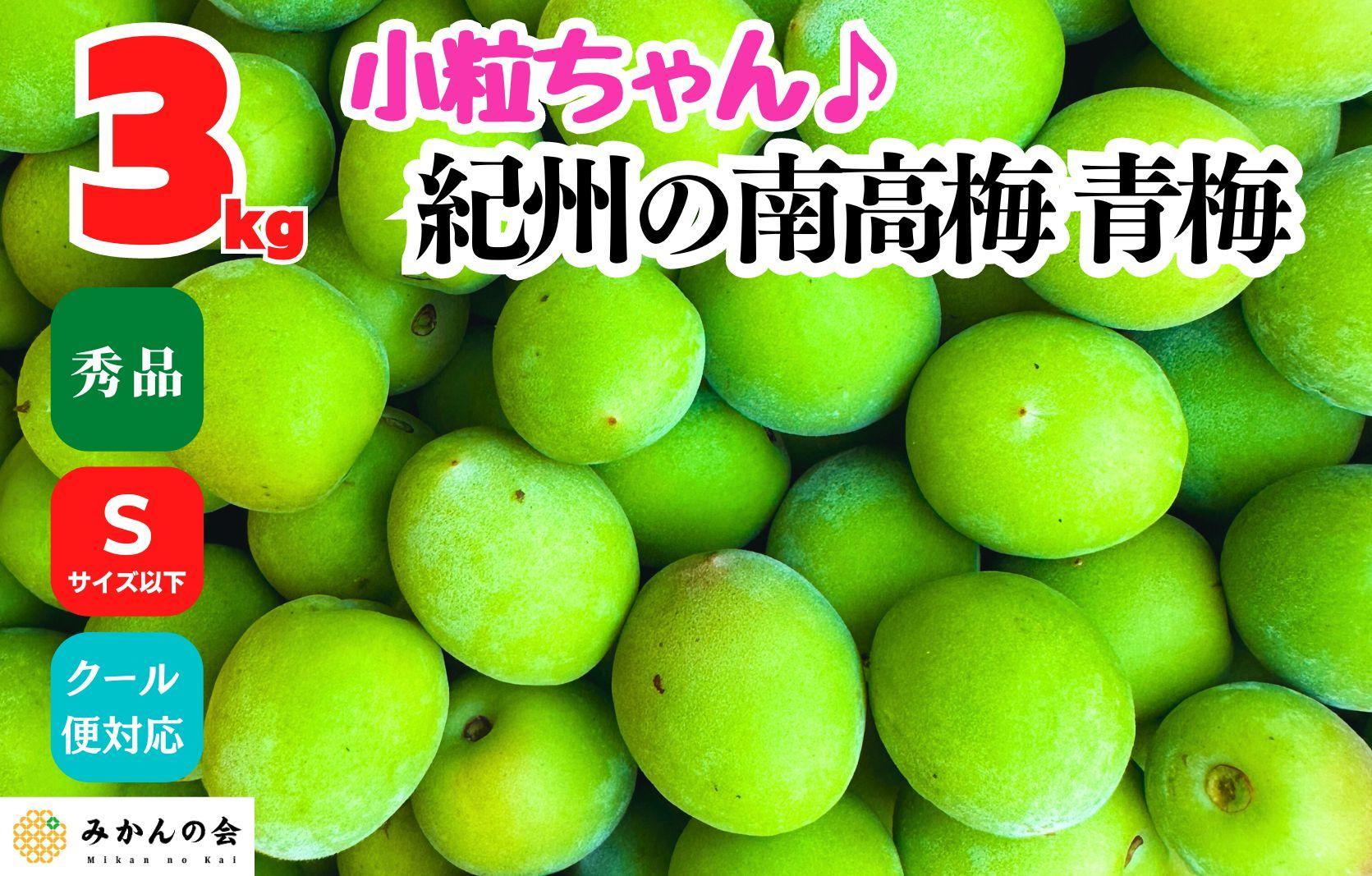 [2025年6月上旬出荷]南高梅 青梅 秀品 小粒ちゃん 約3kg Sサイズ以下 和歌山県産 紀州有田 産地直送 クール便対応 梅酒作り用 梅ジュース作り用