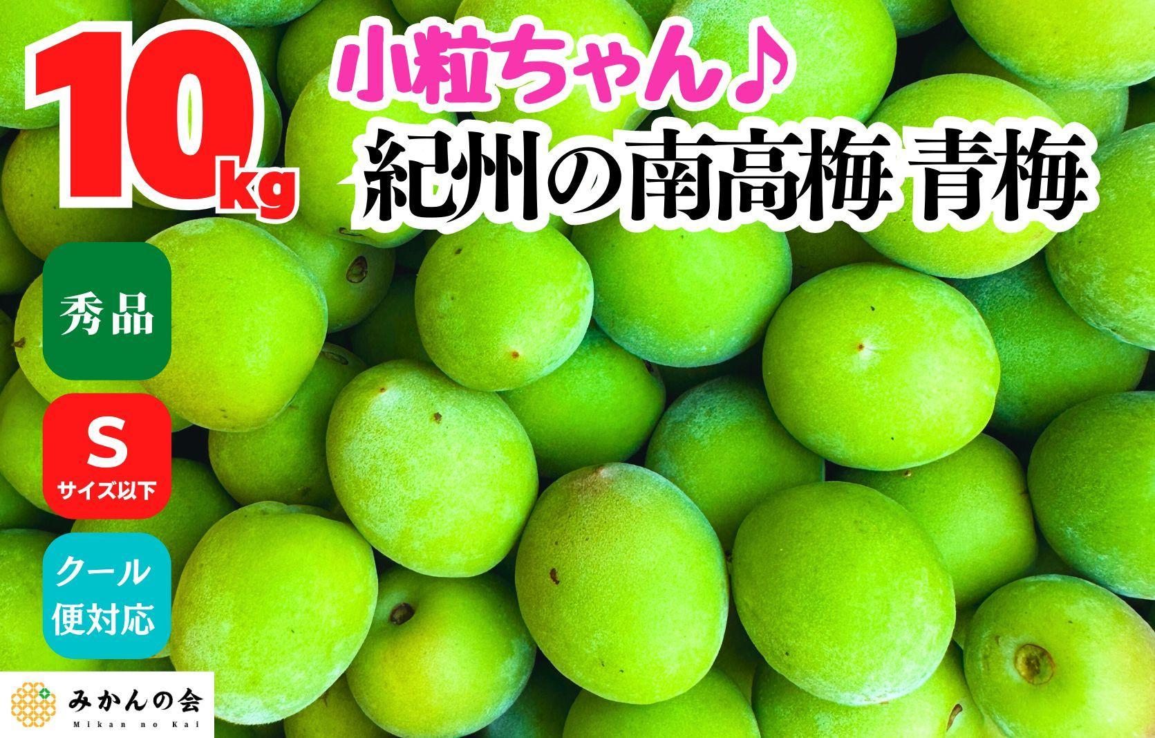 [2025年6月上旬出荷]南高梅 青梅 秀品 小粒ちゃん 約10kg Sサイズ以下 和歌山県産 紀州有田 産地直送 クール便対応 梅酒作り用 梅ジュース作り用
