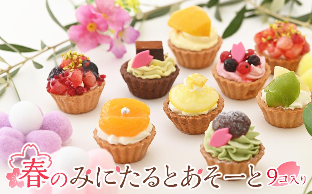 春のみにたるとアソート&nbsp;9個入り＜フレッシュタルトのお店STYLE＞【スイーツ&nbsp;タルト&nbsp;ケーキ&nbsp;フルーツ&nbsp;ミニタルト&nbsp;果物&nbsp;岡山県&nbsp;岡山市&nbsp;おすすめ&nbsp;デザート】