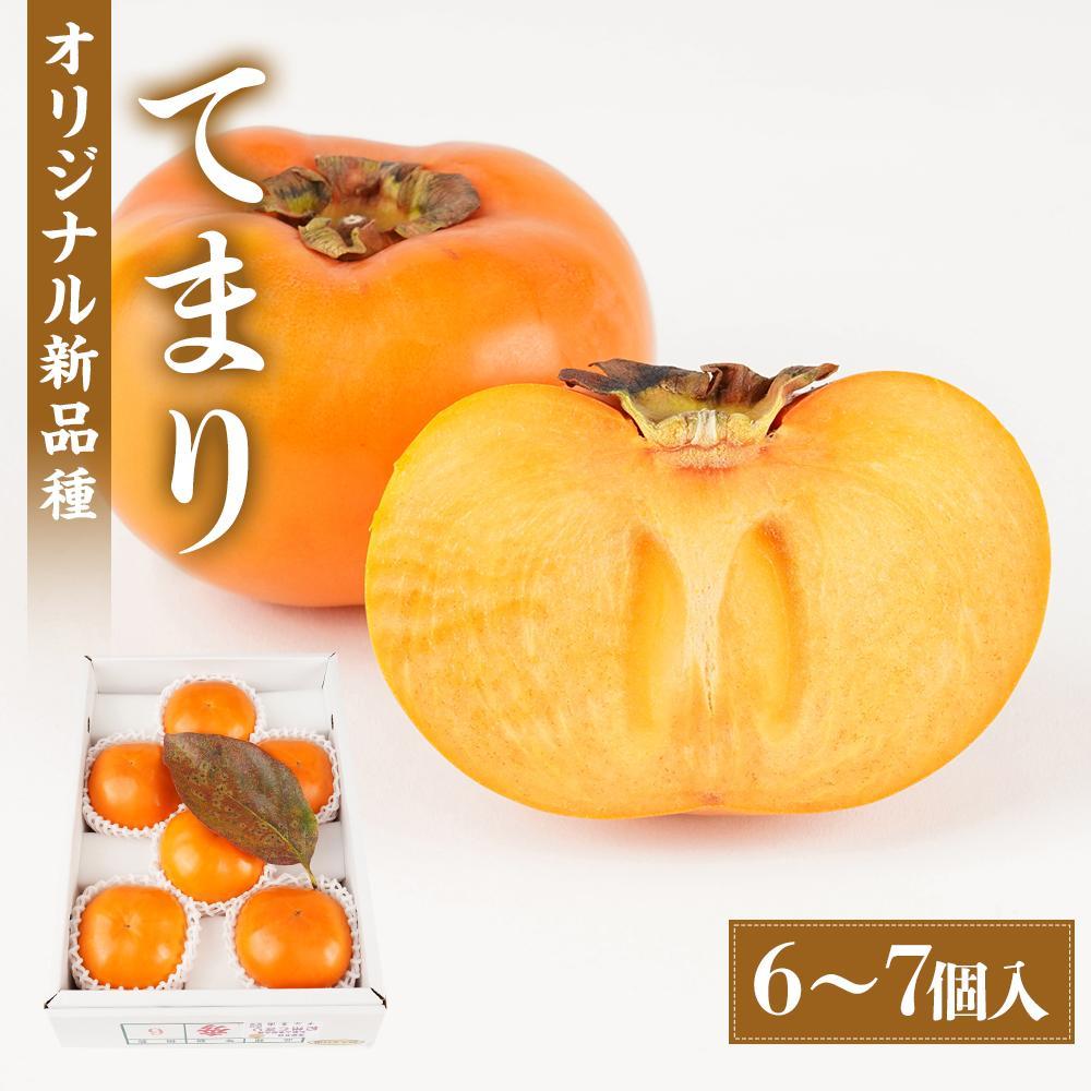 紀州てまり（和歌山県ブランド柿）6～7個入&nbsp;こだわり農家厳選&nbsp;先行予約&nbsp;［2026年9月末から10月末頃順次発送］［KG27］