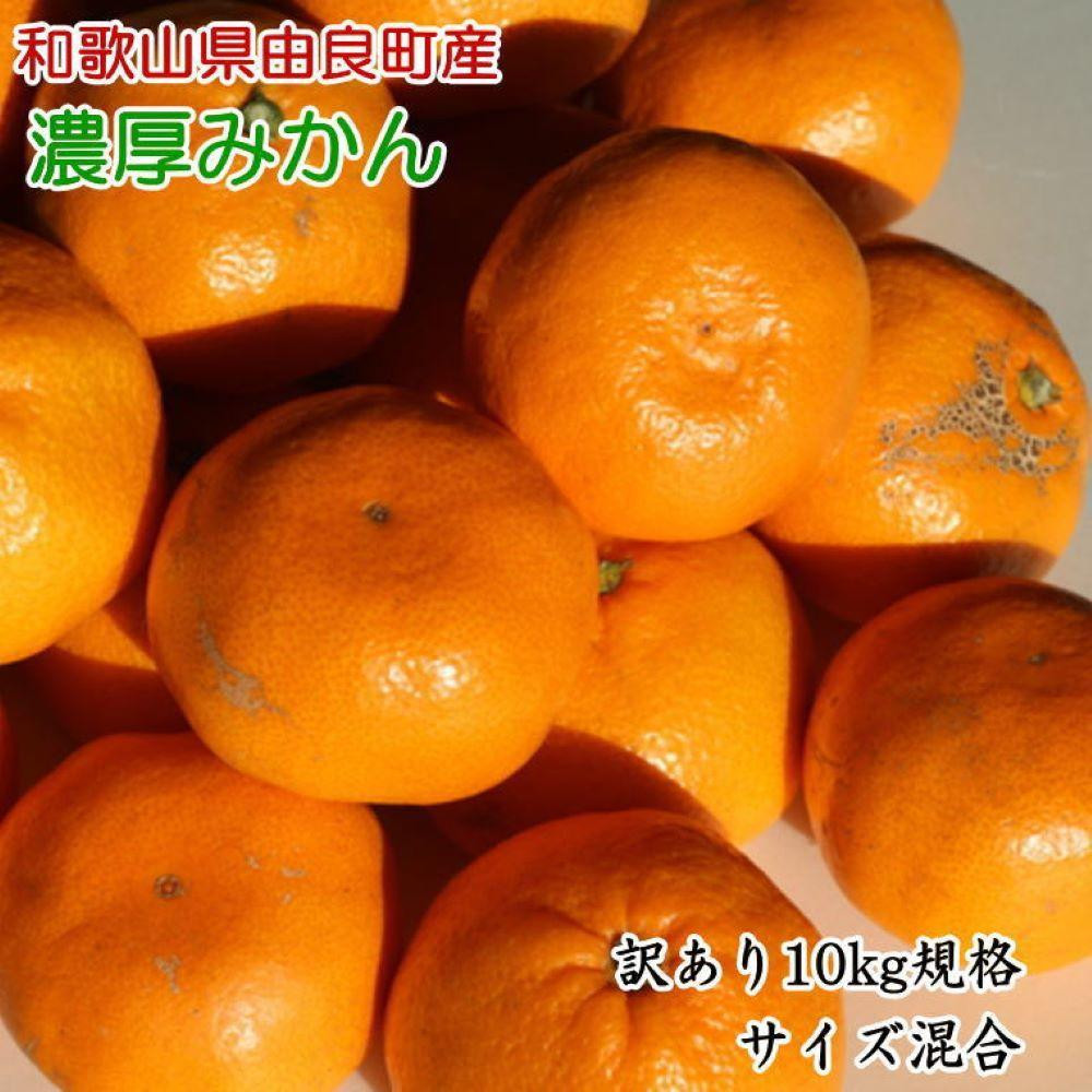 【訳あり・ご家庭用】&nbsp;和歌山由良町産のみかん&nbsp;約10kg&nbsp;サイズ混合&nbsp;［TM201］