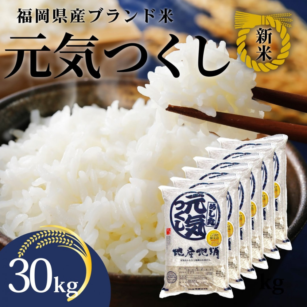新米！！令和7年産&nbsp;福岡県産米&nbsp;元気つくし&nbsp;合計30kg&nbsp;(&nbsp;5kg×6袋&nbsp;)