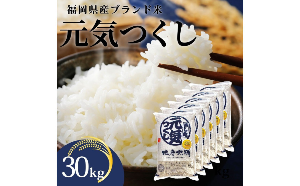 令和7年産&nbsp;福岡県産米&nbsp;元気つくし&nbsp;合計30kg&nbsp;(&nbsp;5kg×6袋&nbsp;)