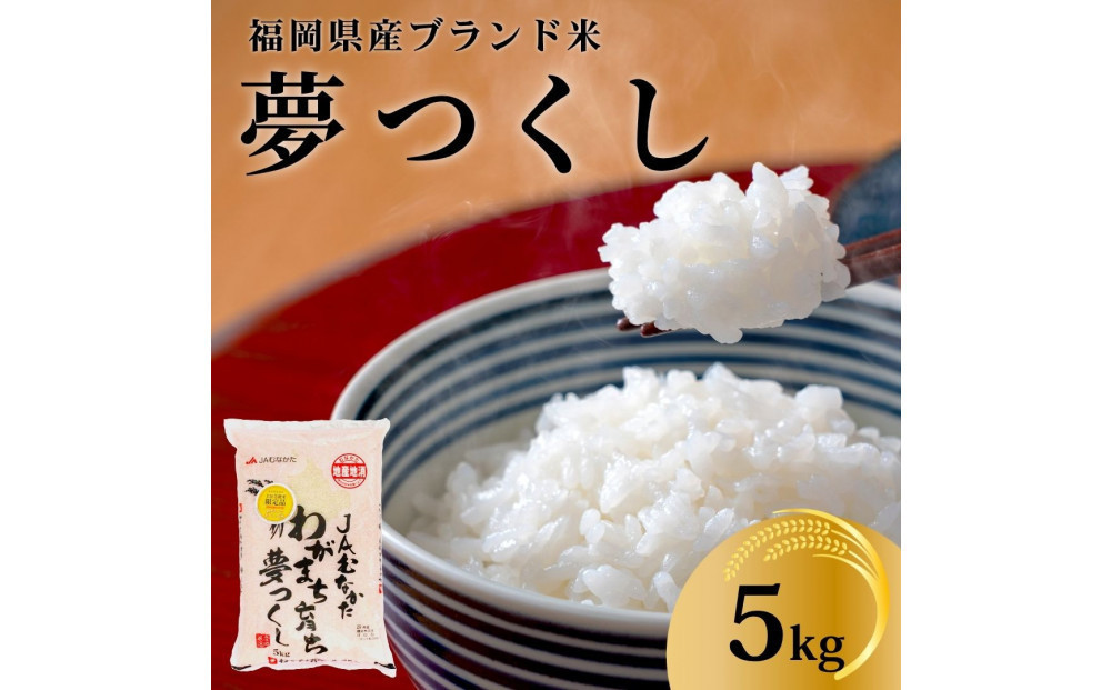 【化粧箱入り】令和7年産&nbsp;福岡県産米&nbsp;夢つくし&nbsp;5kg&nbsp;(&nbsp;5kg×1袋&nbsp;)