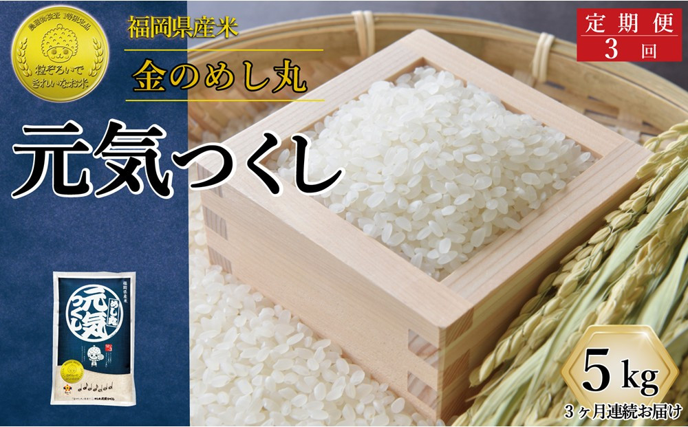 ＜全3回定期便＞令和7年米&nbsp;福岡県産&nbsp;米&nbsp;金のめし丸元気つくし&nbsp;5kg