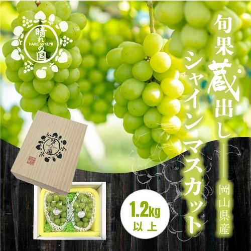 【旬果蔵出し】岡山県産&nbsp;シャインマスカット&nbsp;1.2kg以上（2～3房）＜2026年12月上旬～2027年1月中旬発送＞